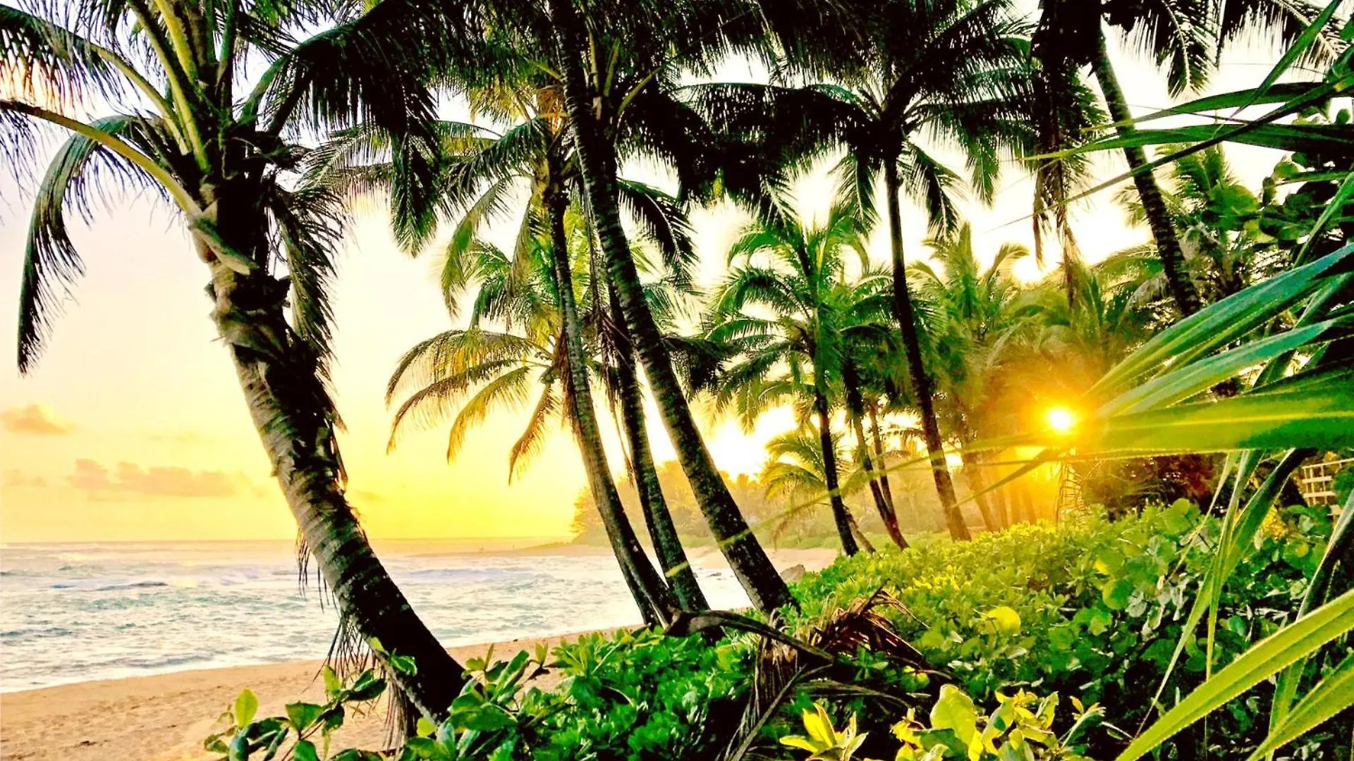 Kbm Resorts Free Car Islands At Mauna Lani Iml-E4 Large Lanai Golf Cart location